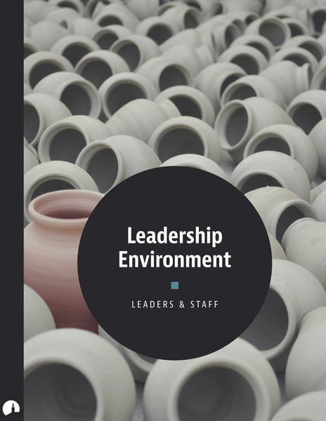 Leadership Environment